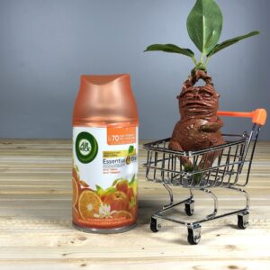 Змінний балон для автоматичного освіжувача повітря Air Wick Цитрус - 250 мл.