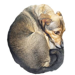 Дитяча м'яка іграшка "Собака Маня" DOG-M 42 см