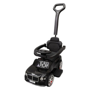 Дитяча Каталка-толокар 2 в 1 M 6252EL-2 до 20 кг