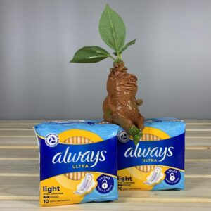 Гігієнічні прокладки для критичних днів Always Ultra Light - 10 шт.