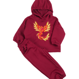 Костюм дитячий з вишивкою "Фенікс", Бордовий, 86 (1.5 роки)