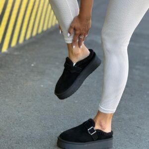 ЗИМОВІ КЛОГИ