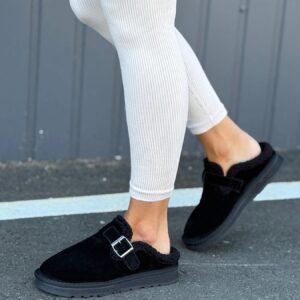 ЗИМОВІ КЛОГИ