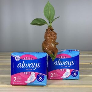 Гігієнічні прокладки для критичних днів Always Ultra Super, розмір 2, 8 шт