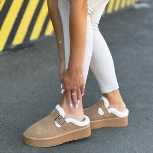 ЗИМОВІ КЛОГИ