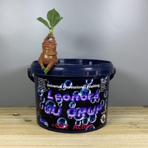 Парфумований пральний порошок з активним киснем Leonora Universal - 7 кг. 140 прань.