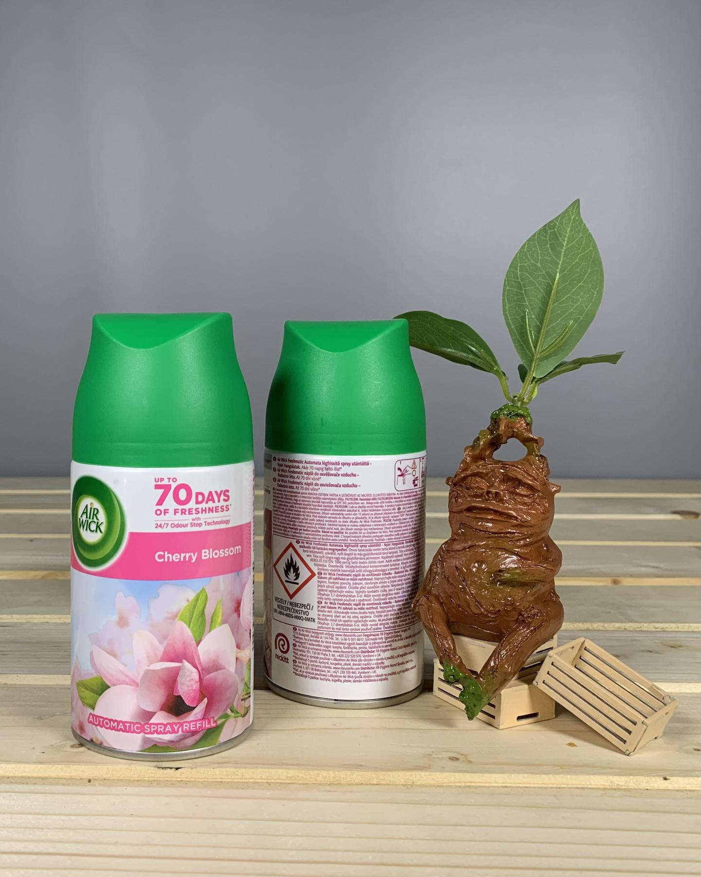 Змінний балон Air Wick Freshmatic Pure Cherry Blossom - 250 мл.