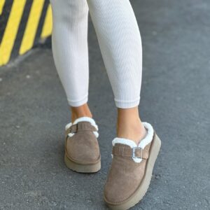 ЗИМОВІ КЛОГИ