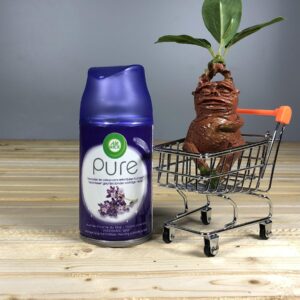 Змінний балон для автоматичного освіжувача повітря Air Wick Лаванда - 250 мл.