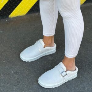 ЗИМОВІ КЛОГИ