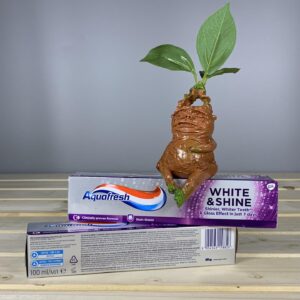 Зубна паста Aquafresh White & Shine Whitening 100 мл.