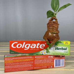 Colgate Herbal - 75 мл.