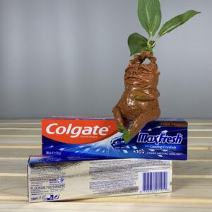 Зубна паста Colgate max fresh 100 мл